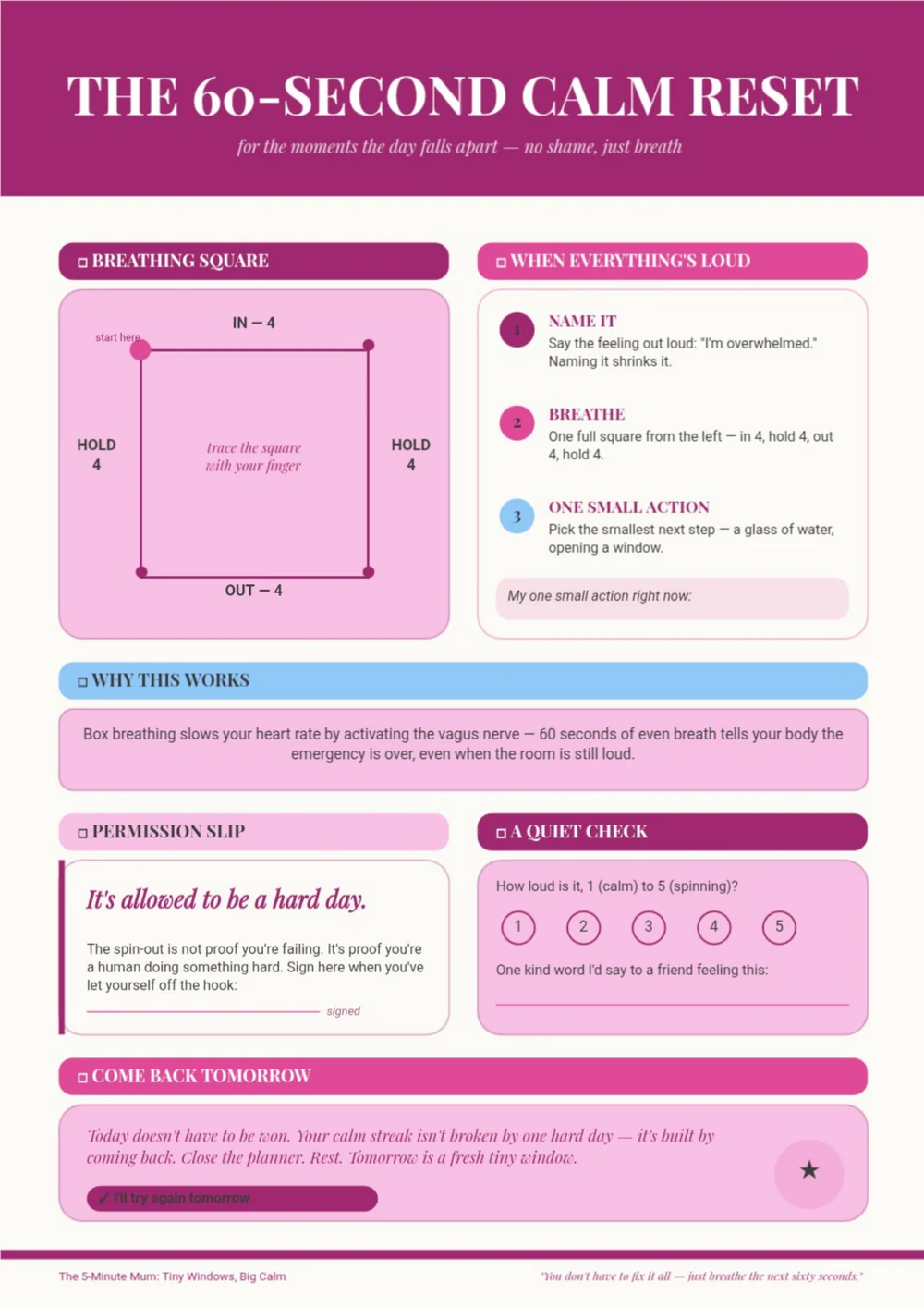 A second 60-Second Calm Reset planner page with pink and turquoise panels and breathing prompts.