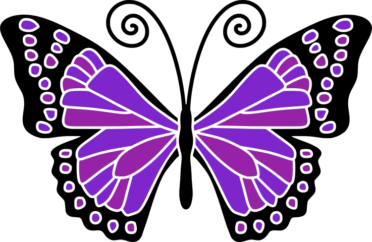 Purple butterfly with large black-and-white outlined wings and small circular markings.